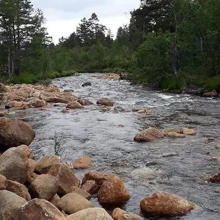 Holiday home Tangen Gjestehus The Place To In Telemark *