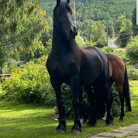 Holiday home Tangen Gjestehus The Place To In Telemark Brosdal