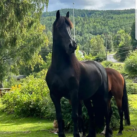 Tangen Gjestehus The Place To In Telemark Brosdal