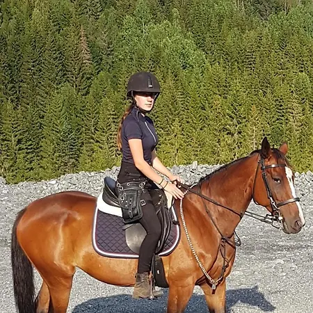 Tangen Gjestehus The Place To In Telemark Holiday home *